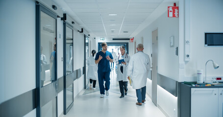 Healthcare Professionals Walking to Their Examination Rooms, Reception Desk, ICU Units in a Modern...