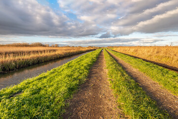 Unpaved country road with wheel tracks in a Dutch polder. On both sides of the road is a ditch. It...