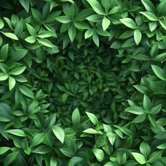 Fototapeta premium square frame of green leaves