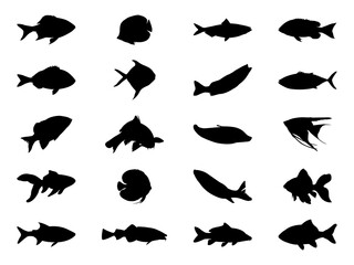 Set of Fish Silhouette in various poses isolated on white background