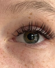 Fototapeta premium Beautiful green eye of woman hazelnut close up mascara long eyelashes