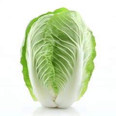 Fototapeta premium Chinese cabbage isolated