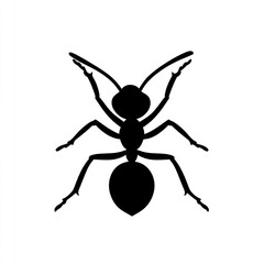 Black silhouette of an ant.