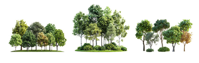 Obraz premium Lush Tree Collection on Transparent Background
