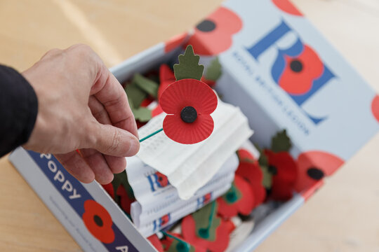 The Red Poppy a symbol of Remembrance and hope for a peaceful future in the aftermath of the First World War