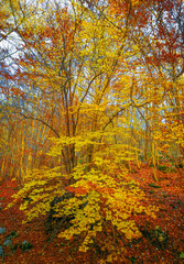 Duchessa lake and Sirente Velino park (Italy) - In the natural park of Sirente Velino, the...