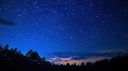 Starry Night Landscape with Silhouetted Trees