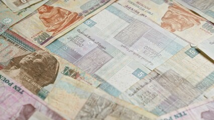 Egyptian pounds banknotes scattered, featuring a variety of denominations from the central bank of egypt showcasing detailed architectural and historical designs.