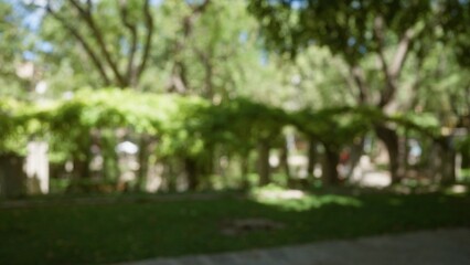 Fototapeta premium Blurred outdoor scene in mallorca with defocused trees and green park background