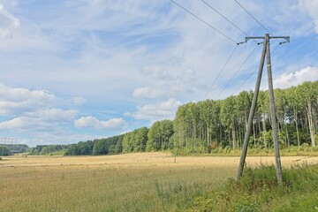 Fototapeta premium Wood electric poles and power lines on a cloudy summer day.