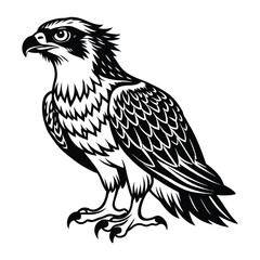 Fototapeta premium eagle isolated on white background