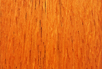 Naklejka premium Jatoba wood texture as background