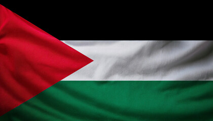 Obraz premium Flag of the Palestine