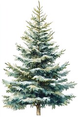 Fototapeta premium christmas tree isolated on white