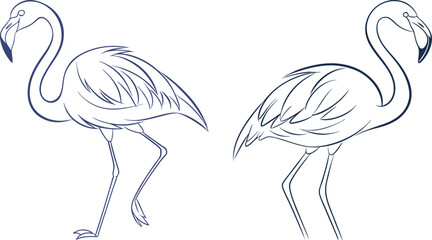 Obraz premium Flamingo line art vector and black and white drawing illustration design