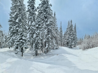 Fototapeta premium Snowy winter in the ski resort of Sheregesh in Siberia, Russia.