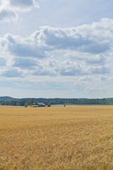 Fototapeta premium Rural landscape with old red barn with forest in the background in rural Taka-Siippoo, Finland.