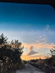 억새풍경 저녁노을