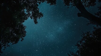Obraz premium starry night sky viewed through tree branches