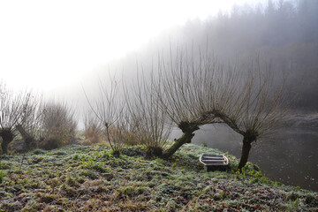 Boat under willow trees in foggy morning, shore of Luznice River, Czech Republic, peaceful...