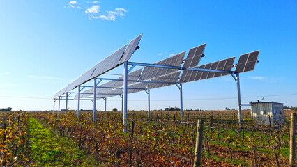 Modèle de panneaux photovoltaïques implantés dans une vigne