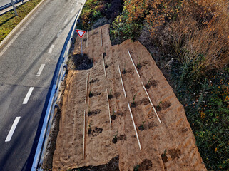 Slope stabilization by vegetation planting of shrubs. so that the mulch bark does not slide down by...