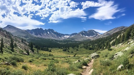 Obraz premium Mountain trail, alpine meadow, sunny sky.