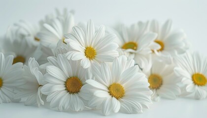 Obraz premium Delicate white daisies clustered together in a soft arrangement