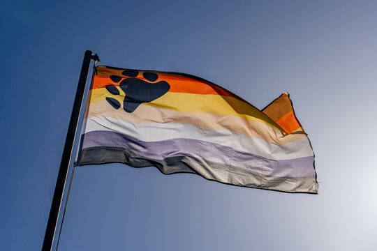 International Bear Brotherhood gaypride flag LGBT Community