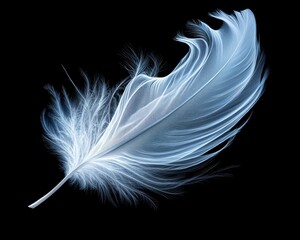 Obraz premium Explore the captivating imagery of a digital feather reshaping with the wind, symbolizing creativity and adaptability This artwork showcases the elegance and ethereal nature of a feather, digitally