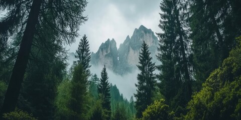 Fototapeta premium Majestic_Dolomites_mountains_framed_by_lush_green_branches_of_towering_pine_trees_Ideal_weather_creates_perfect_conditions_for_a_hiking_trip_enjoying_nature_and_a_scenic_camping_experience