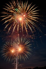 Obraz premium fireworks in the night sky
