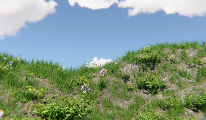 Grassland, lawn, grass, 3D illustration