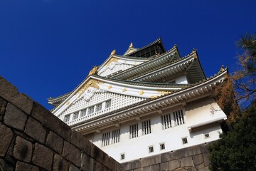 Obraz premium Osaka Castle, Japan