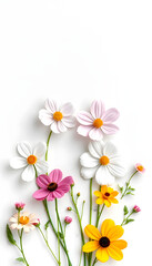 Fototapeta premium spring flowers on paper background, with white tones