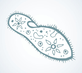 Paramecium caudatum. Vector drawing icon