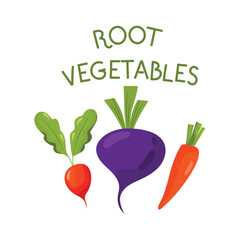 Vector illustration with  fresh organic food. Set of  cute hand drawn vegetables on a white background