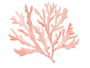 Obraz premium Delicate Coral Branch in Soft Pink Hue