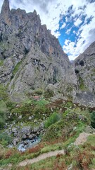 mountain landscape in the mountains