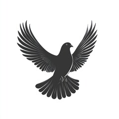 Obraz premium Silhouette of a soaring dove in flight.