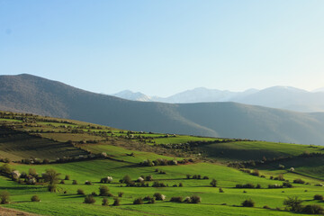 landscape with mountains, Grassland, Trees, Colorful spring landscape, green grassland, Background, Wallpaper landscape