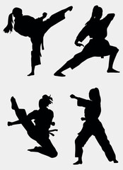 Silhouettes, Sport Women Silhouettes, Karate, Martial Arts, Athletic, EPS 10, Collection, Sport Silhouette, Kata, Power, Training, Combat, Isolated, Vector Illustration