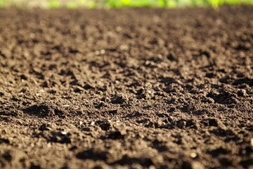 Rich dark soil texture filling the frame on a sunny day, capturing the essence of fertile earth ready for planting, showcasing the beauty of nature and agricultural potential.