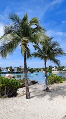 Obraz premium Hammocks between two palm trees on a paradise island beach