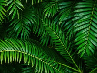 Fototapeta premium Close up of a vibrant green palm leaf texture, showcasing the natural beauty and intricate details of tropical foliage, organic, close up