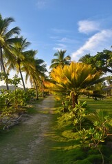 Obraz premium Colourful sunsets over the Pacific Ocean on the Fiji islands