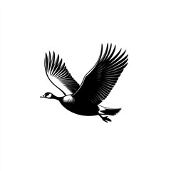 Obraz premium Silhouette of a flying Canada goose in flight.