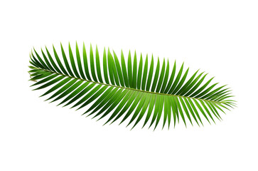 Fototapeta premium Vibrant Palm Frond Glitch Art Tropical Paradise Digital Distortion