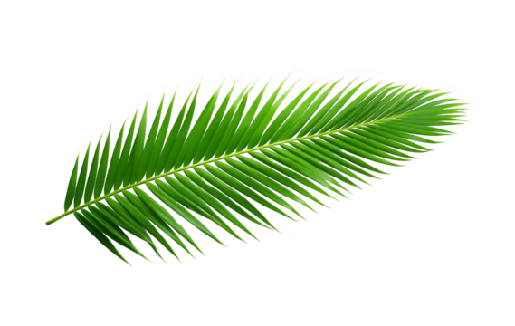 Vibrant Palm Leaf Against Glitch Art Background Image