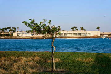 Fototapeta premium Ägypten/ Hurghada